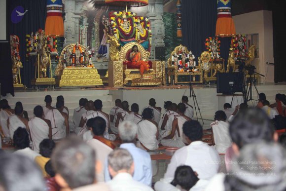 20101121_Photo_1180_IMG_0484_CMP_WM