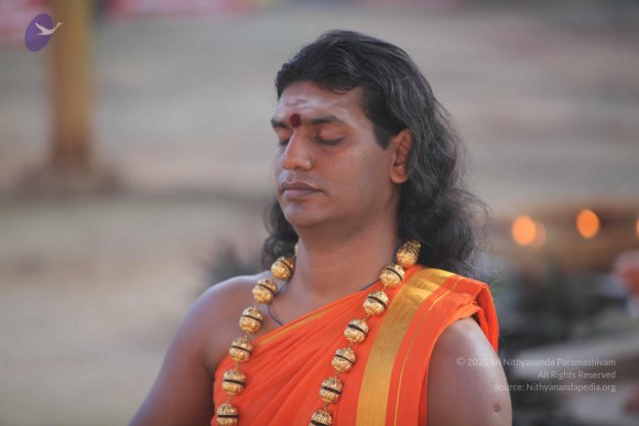 20101121_Photo_1182_IMG_0226_CMP_WM