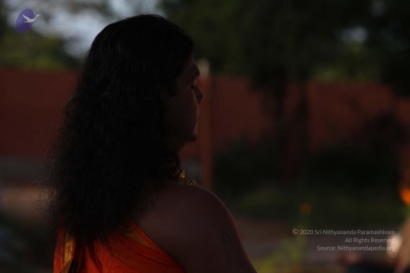 20101121_Photo_1188_IMG_0244_CMP_WM