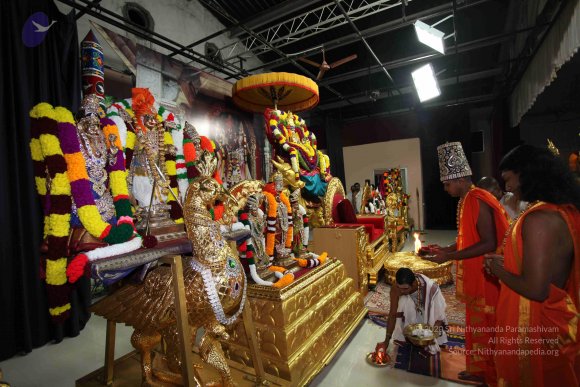 20101121_Photo_1199_IMG_0114_CMP_WM