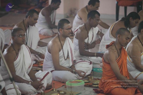 20101121_Photo_1200_IMG_0369_CMP_WM