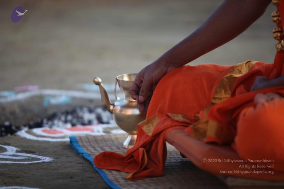 20101121_Photo_1201_IMG_0228_CMP_WM