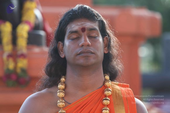 20101121_Photo_1206_IMG_0282_CMP_WM