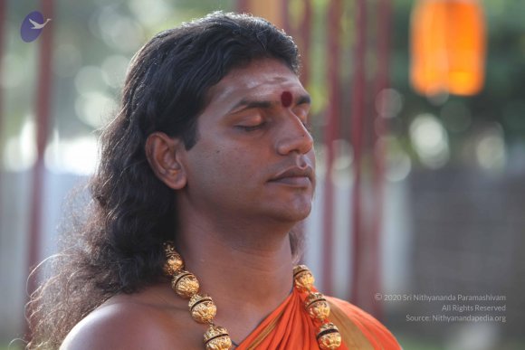 20101121_Photo_1211_IMG_0261_CMP_WM