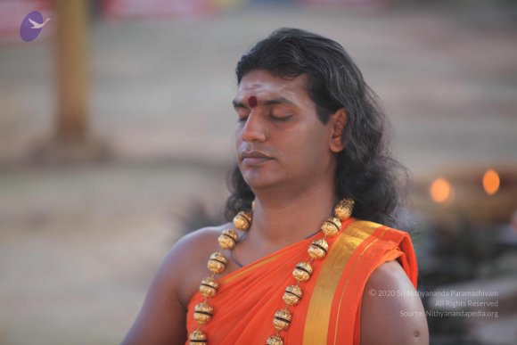 20101121_Photo_1221_IMG_0225_CMP_WM