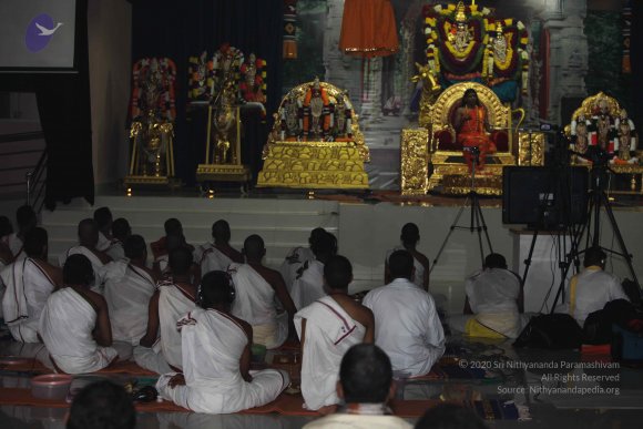 20101121_Photo_1224_IMG_0453_CMP_WM