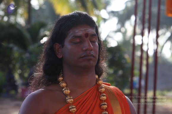 20101121_Photo_1234_IMG_0293_CMP_WM