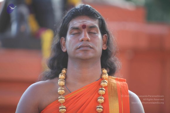 20101121_Photo_1236_IMG_0198_CMP_WM