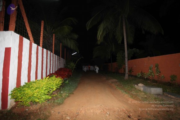 20101121_Photo_1239_IMG_0150_CMP_WM