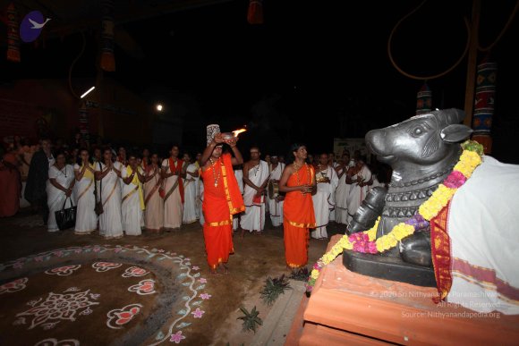 20101121_Photo_1242_IMG_0044_CMP_WM