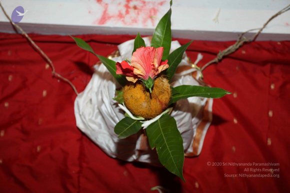 20101121_Photo_1245_IMG_0132_CMP_WM