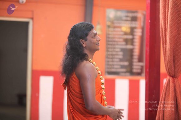 20101121_Photo_1248_IMG_0303_CMP_WM