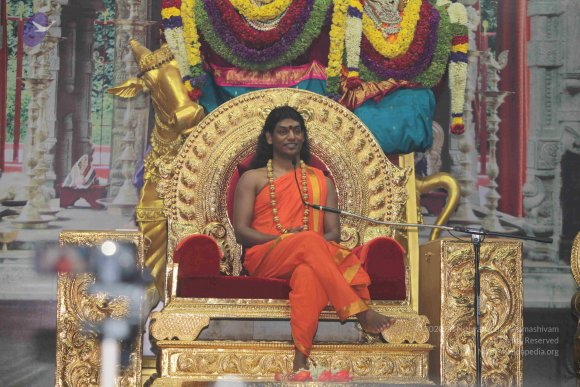 20101121_Photo_1250_IMG_0456_CMP_WM