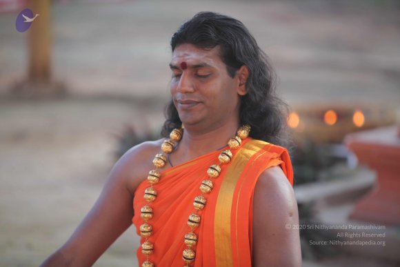 20101121_Photo_1252_IMG_0217_CMP_WM