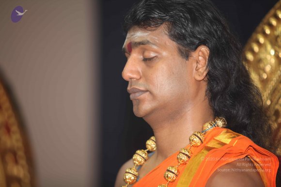 20101121_Photo_1256_IMG_0356_CMP_WM