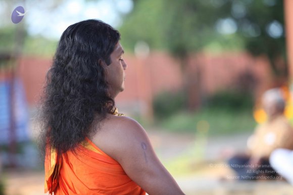 20101121_Photo_1260_IMG_0242_CMP_WM