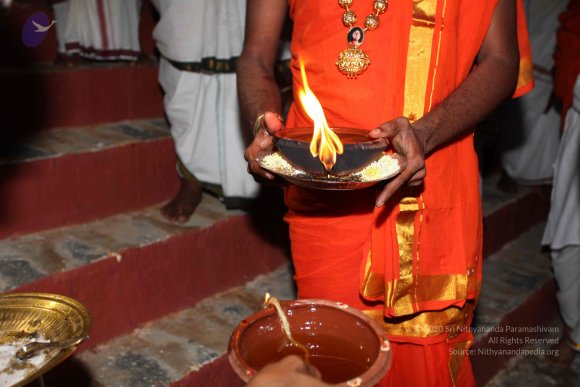 20101121_Photo_1264_IMG_0076_CMP_WM