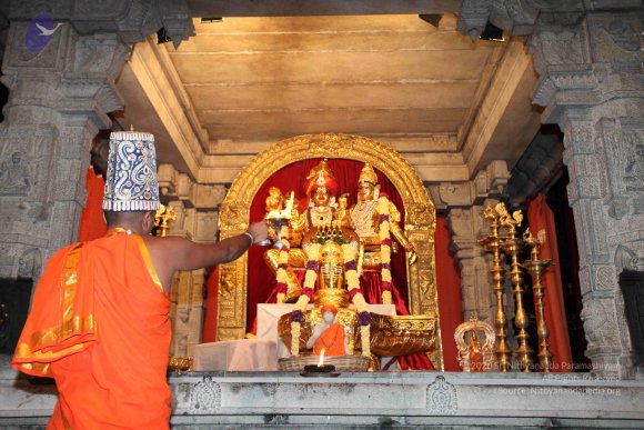 20101121_Photo_1267_IMG_0162_CMP_WM