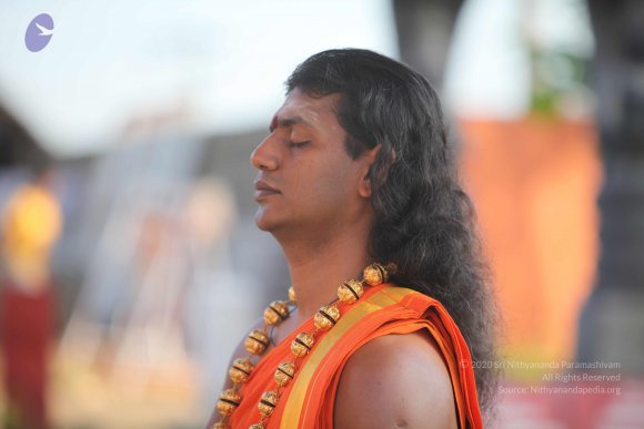 20101121_Photo_1294_IMG_0231_CMP_WM