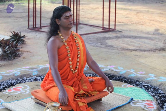 20101121_Photo_1295_IMG_0206_CMP_WM