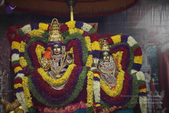 20101121_Photo_1300_IMG_0340_CMP_WM