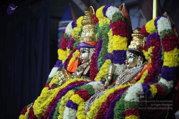 20101121_Photo_1301_IMG_0377_CMP_WM