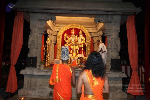 20101121_Photo_1303_IMG_0029_CMP_WM