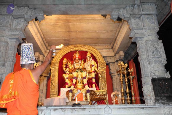 20101121_Photo_1307_IMG_0168_CMP_WM