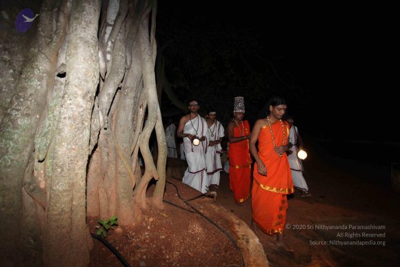 20101121_Photo_1311_IMG_0002_CMP_WM