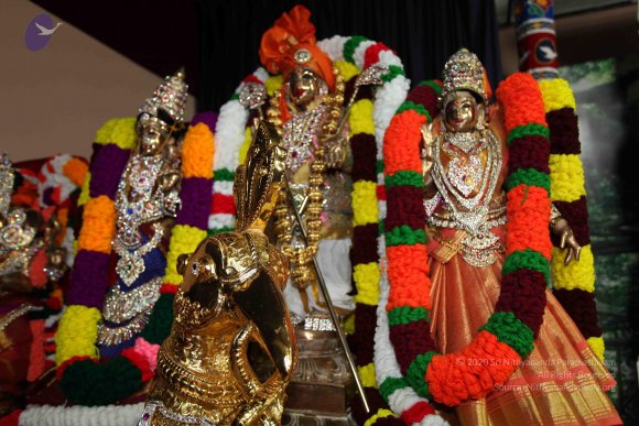 20101121_Photo_1314_IMG_0121_CMP_WM