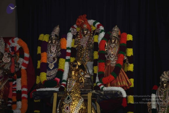 20101121_Photo_1320_IMG_0394_CMP_WM