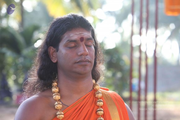 20101121_Photo_1322_IMG_0291_CMP_WM