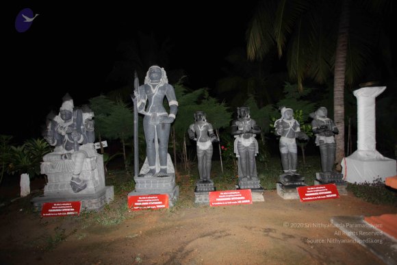 20101121_Photo_1324_IMG_0152_CMP_WM