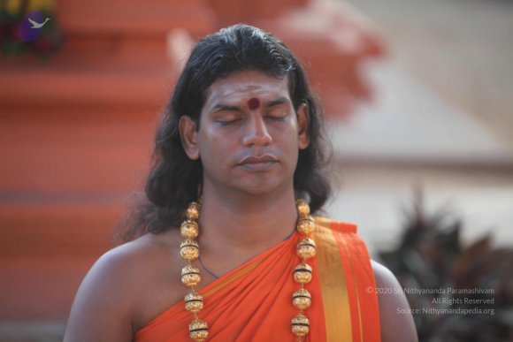 20101121_Photo_1337_IMG_0210_CMP_WM