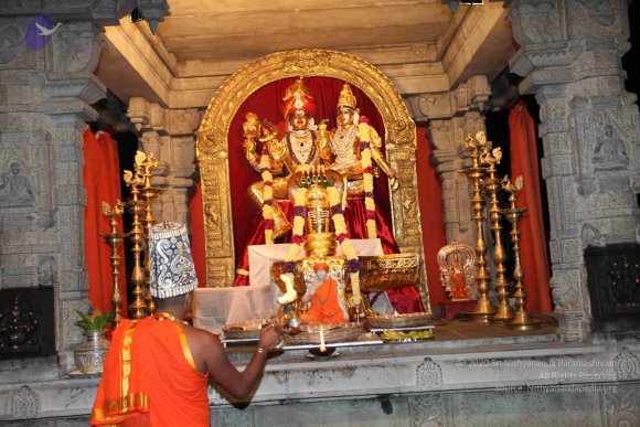 20101121_Photo_1353_IMG_0160_CMP_WM