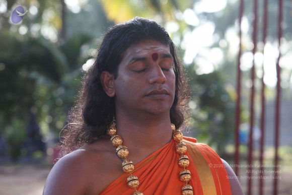 20101121_Photo_1359_IMG_0294_CMP_WM