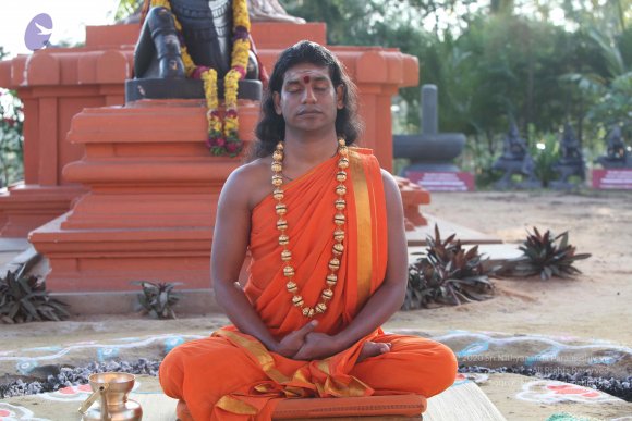 20101121_Photo_1371_IMG_0277_CMP_WM