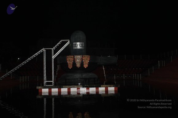 20101121_Photo_1375_IMG_0086_CMP_WM