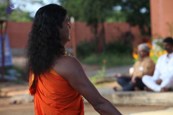 20101121_Photo_1378_IMG_0251_CMP_WM