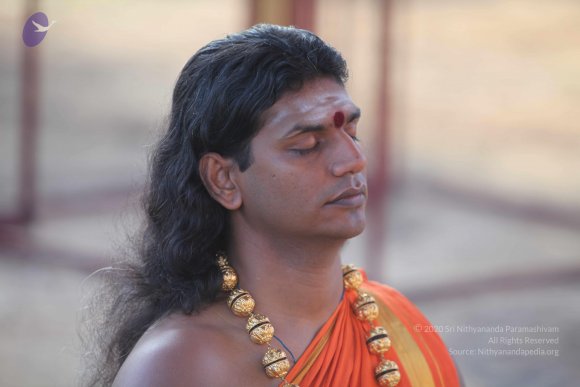 20101121_Photo_1383_IMG_0204_CMP_WM