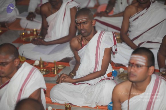 20101121_Photo_1386_IMG_0327_CMP_WM