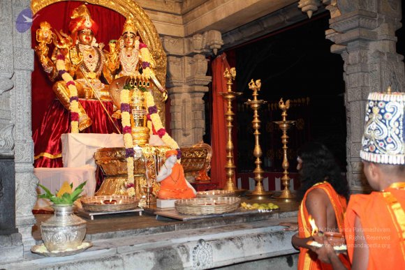 20101121_Photo_1001_IMG_9952_CMP_WM