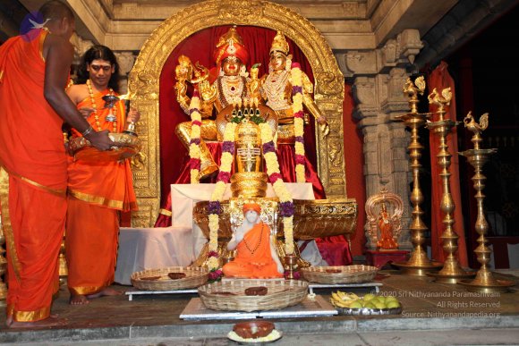 20101121_Photo_1003_IMG_9846_CMP_WM