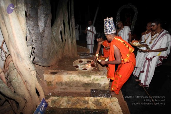 20101121_Photo_1008_IMG_9979_CMP_WM