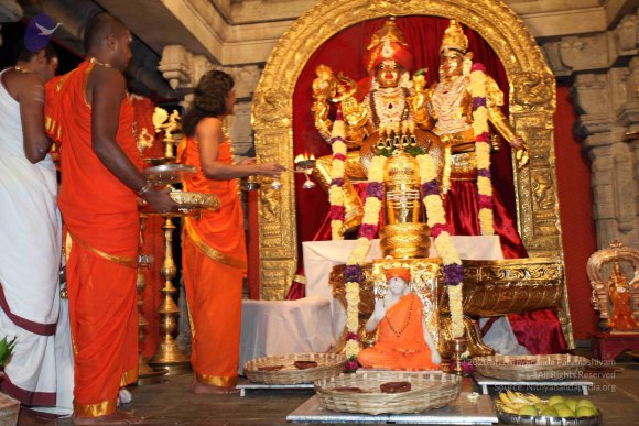 20101121_Photo_1009_IMG_9838_CMP_WM