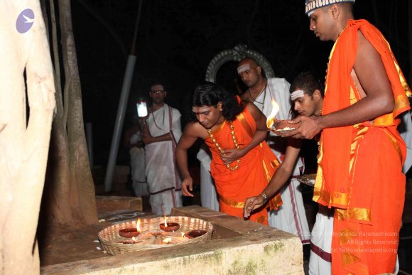 20101121_Photo_1010_IMG_9986_CMP_WM