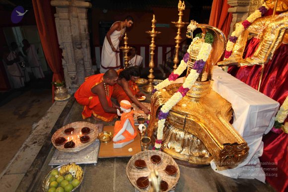 20101121_Photo_1011_IMG_9892_CMP_WM