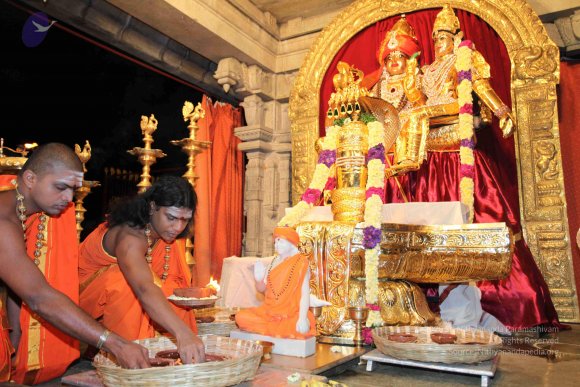 20101121_Photo_1012_IMG_9883_CMP_WM