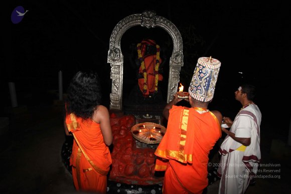 20101121_Photo_1019_IMG_9974_CMP_WM