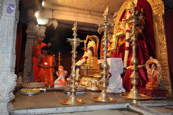 20101121_Photo_1021_IMG_9879_CMP_WM